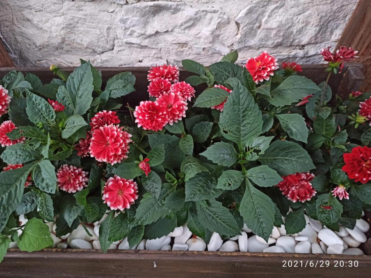 Konak Bindalli Bed and Breakfast Karabuk  Exterior foto